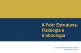 A Pele: Estruturas, Fisiologia e Embriologiadrluizporto.com.br/wp-content/uploads/2017/03/PELE-NORMAL... · EMBRIOLOGIA DA PELE •Ectoderma (Epiderme, melanócitos, nervos e anexos)