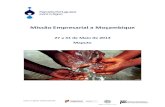Missão Empresarial a Moçambique - ppa.pt£o.pdf · Informação Logística 5 4. ... empresarial a Moçambique no âmbito do 11.º SILUSBA ... 1730€ 2185€ 1835€ 2430€ 23