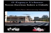 ANA FANI ALESSANDRI CARLOS - By Benilson Sousa · Ficha Catalográfica ... Uma leitura sobre a cidade 19 Notas sobre a paisagem urbana paulistana 33 ... lidas na morfologia urbana