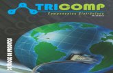 CATÁLOGO DE PRODUTOS - tricomp.com.br · §circuÍto de 02 a 15 vias passo 2,54mm §voltagem mÁxima 250volts §corrente mÁxima 3 amp equivalente -js-1108 conector excon sÉrie