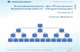 Fundamentos do Processo Administrativo: Organiza§£ .Fundamentos do Processo Administrativo: Organiza§£o