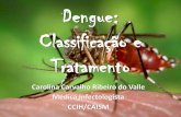 Dengue: Classificação e Tratamento - caism.unicamp.br · Grupo D Resposta inadequada, avaliar hemoconcentração Ht em ascensão e choque, após reposição volêmica adequada Albumina