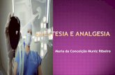Maria da Conceição Muniz Ribeiro · Anestesia é a perda parcial ou completa da sensação de dor durante uma operação, exame diagnóstico ou curativo. Podendo haver ou não perda