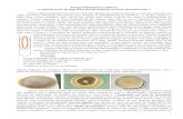 Fungos Filamentosos: Bolores - Clientes Netvisaoclientes.netvisao.pt/zetolas/bolores_lab.pdf · Fungos Filamentosos: Bolores A segunda parte da saga laboratorial (segundo os meus