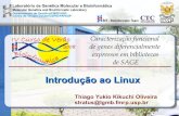 Introdução ao Linux - lgmb.fmrp.usp.br · O que é Linux??? Definição: Linux é um sistema operacional criado em 1991 por Linus Torvalds na universidade de Helsinki na Finlândia.