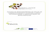 ESTUDO DE BENCHMARKING DE PÓLOS DE … Agrocluster/Estudo... · estudo de benchmarking de pÓlos de competitividade e clusters a nÍvel internacional e identificaÇÃo de boas prÁticas