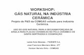 WORKSHOP: GÁS NATURAL NA INDÚSTRIA CERÂMICAceramicaindustrial.org.br/workshop/1.pdf · compressor turbina cÂmara de combustÃo gerador ... pot. instalada: 3,5 mwe secadores '