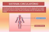 SISTEMA CIRCULATÓRIO · A função primária do sistema cardiovascular é levar sangue para os tecidos, fornecendo assim,os nutrientes essenciais para o metabolismo das células,