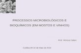 Microbiologia e Bioquimica - roneiandre.dominiotemporario.comroneiandre.dominiotemporario.com/doc/microbiologiaebioquimica.pdf · As leveduras, como os bolores, são fungos, mas deles