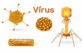 Vírus - zaccaria.g12.br Fundamental II/Série 17... · • Herpes bucal – Agente etiológico: HSV-1 (Vírus Herpes Simples tipo 1) • Herpes genital – Agente etiológico: HSV-2