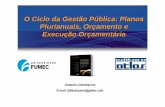 O Ciclo da Gestão Pública: Planos Plurianuais, Orçamento e ... · • Refletir, sistematicamente, o ciclo da administração pública para evidenciar informações necessárias