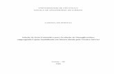 UNIVERSIDADE DE SÃO PAULO ESCOLA DE ... - sistemas…sistemas.eel.usp.br/bibliotecas/antigas/2006/EQD06004.pdf · Classificação e natureza química dos biossurfatantes .....4 2.1.2.