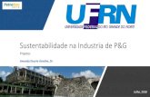 Sustentabilidade na Industria de P&G - petronor.net.br Classificação de resíduos sólidos MS ICP -S TG/DSC TOC EXTRATOR DRX GRANULOMETRIA Djalma Ribeiro djalmarib@gmail.com . ...