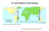 O SISTEMA COLONIAL - dorasiqueira.files.wordpress.com · •Colonialismo – conquistadores definem o esquema de exploração . Tipos de Colonizações