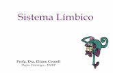 Sistema Límbico · 1) Emoções 2) Lobo Límbico, Circuito de Papez e Sistema Límbico 3) Estruturas do Sistema Límbico e o papel central do Hipotálamo na interface