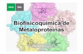 Biofisicoquímica de Metaloproteínas - fbcb.unl.edu.ar · Dosis mínima diaria en ... vivos de todos los reinos de la vida. Mg2+ es el cuarto catión metálico ... células eucariotas