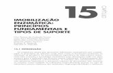 CAPÍTULO IMOBILIZAÇÃO ENZIMÁTICA: PRINCÍPIOS …pdf.blucher.com.br.s3-sa-east-1.amazonaws.com/openaccess/... · 2017-01-31 · Em 1960, a tecnologia enzimática despontou como