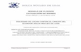 SOLCA NÚCLEO DE LOJA - solcaloja.med.ecsolcaloja.med.ec/site/images/PDF/PLIEGOS_EQUIPOS_MEDICOS_06072015.pdf · CAPACITACIÒN TECNICA DEL PERSONAL Y MANTENIMIENTO POR CINCO ... partes