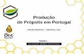 Produção de Própolis em Portugal - beerural.ptbeerural.pt/wp-content/uploads/2016/09/Produção-de-propolis-em... · 3 • Quando as abelhas retornam à colmeia elas passam pela