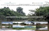 Prroogrr aamma CCoonnjjuunttoo Inccoorrppoorracci ióónn ddee … rio Tabasara.pdf · CARACTERISTICAS DE LAS VIVIENDAS EN LA CUENCA DEL RÍO TABASARÁ 4.1. La Pobreza en la Cuenca
