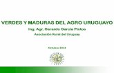 VERDES Y MADURAS DEL AGRO URUGUAYO - cncs.com.uya-Pintos... · Granos Cria de ganado vacuno, ovino, caprino, caballar ... Sin embargo los altos costos internos hacen perder ... Diapositiva
