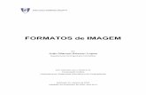 Formatos de Imagem - disciplinas.ist.utl.ptdisciplinas.ist.utl.pt/leic-cg/textos/livro/Formatos de Imagem.pdf · integravam, tendo surgido dois tipos de solução. ... consiste em