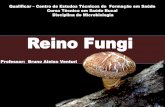 Apresentação do PowerPoint - portaldoaluno.bdodonto.com.br · Reino Fungi Professor: Bruno Aleixo Venturi . Os fungos são micro-organismos tais como as leveduras, bolores e os