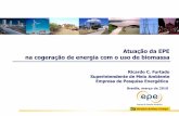 Atuação da EPE na cogeração de energia com o uso de biomassa · Gráfico 1 – Potencial técnico de exportação de energia elétrica a partir de bagaço para o SIN, 2010-2019