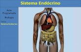 Sistema Endócrino · Sistema Endócrino 1) Introdução O sistema endócrino é responsável pelo controle das atividades metabólicas do organismo. Atua a longo prazo, através