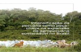 Intensificação da pecuária como peça- chave na expansão da … · intensificaÇÃo da pecuÁria no brasil contexto 5 1. visÃo de longo prazo para a pecuÁria brasileira: impactos