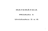 MATEMÁTICA Módulo 1 Unidades 5 e 6 - cejarj.cecierj.edu.br ampliado_V7/Matematica... · aprenderá como realizar essa tarefa com base em . 9 ... Depois recorte o da seguinte forma: