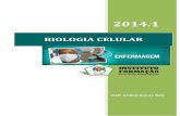 2014 - Instituto Formação · 3 Biologia Celular  Profº Antônio Batista Neto Membrana Plasmática: Envolvendo a célula aparece à membrana plasmática, uma delgada película