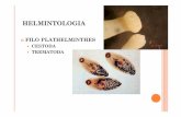HELMINTOLOGIA - ufersa.edu.br · Não são segmentados Tubo digestivo sem ânus (metabólitos excretados pela boca) Ceco termina em fundo de saco Presença de glândulas vitelínicas
