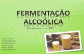 Fermenta§£o Alco³lica - dinamica/fermentacao...  FERMENTA‡ƒO ALCO“LICA Leveduras e algumas