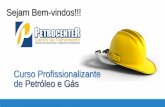 Curso Profissionalizante de Petróleo e Gásfalandodquimica.weebly.com/uploads/2/4/5/2/2452165/curso_pro... · Petroleo no brasil Bom vídeo – descoberta do pre-sal – petrobras