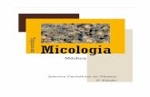 Livro pg7 com capa · Importância do Estudo da Micologia ..... Diagnóstico de Laboratório das Micoses ..... ... unicelulares, ou, quando multicelulares, não haver diferen-ciação