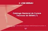 Catálogo Nacional de Cursos Técnicos do SENAI (*)arquivos.portaldaindustria.com.br/app/conteudo_24/2012/07/09/51/... · Habilitar profissional para organizar o processo de trabalho
