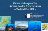 Marine Protected Areas in the Azores – the case · Construção e reparação naval (2) ... % Setor do mar dos Açores (SCIE) ... B - Network of Marine protected areas of the