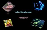 Microbiologia é um ramo da Biologia que estuda os seres ...profiva.dominiotemporario.com/doc/Bacteria1.pdf · 3 Importância das bactérias. Formas das células Arranjo das células