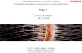 Conforto Ambiental I: Ergonomia e Antropometria · 2-aula-medula-espinhal> ... o1_parte_08.pdf acessado em 9/3/2013> Relembrando a aula sobre função neuromuscular. A coluna vertebral