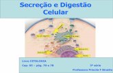 Secreção e Digestão Celular · Lisossomos - Tipos de digestão intracelular 1. Heterofagia: material a ser digerido pelos lisossomos é proveniente do meio externo, por fagocitose