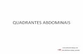 QUADRANTES ABDOMINAIS - enfermeirodiogo.comenfermeirodiogo.com/pdf/...e-fisiologia-humana/sistema-digestorio.pdf · Componentes do Tubo Digestório: Órgãos: • Boca • Faringe