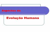 Evolução Humana - escola.unitau.brescola.unitau.br/.../Profa_Luciana_Evolucao_humana_1540894558.pdf · Sahelanthropus tchadensis (7.000.000) Perda dos caninos grandes (combate).