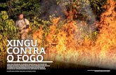 Xingu Contra · cava no Posto Leonardo e fez um fogareiro para assar peixe. o certo é que o fogo “escapou ... Ao reduzir a área proposta para o parque, em ... omo uma pessoa com