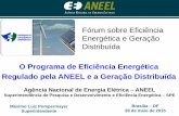 O Programa de Eficiência Energética Regulado pela ANEEL e ... · Inciso IX: "incentivar o combate ao desperdício de energia no que diz respeito a todas as formas de produção,