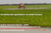Os efeitos dos agrotóxicos na saúde humana · trabalhadores com EPI’s (igual de astronauta); Mas para o ambiente e alimentos não há uso seguro. Haverá contaminação alimentar