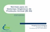 Normas para os Sistemas Orgânicos de Produção Animal · Normas para os Sistemas Orgânicos de Produção Animal (IN 46) Angela Escosteguy Presidente do IBEM Presidente da VET.ORG/SBMV
