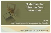 Sistemas de Informações Gerenciais - Início - Instituto ...ccaetano/aulas/SIG-Aula6.pdf · Sistemas de Informações Gerenciais Aula 6 Gerenciamento dos processos de decisão Professora: