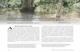 O Tratamento de Água na Amazônia: Uma Proposta para essa ... · Área alagada onde ocorre o ... A água negra é encontrada principalmente nos rios de planalto (mais largos e de