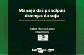 Manejo das principais doenças da soja - ADAPAR · Doenças no ciclo da soja REPRODUTIVO -Oídio -Míldio ... Número cumulativo de registros de novas pragas no Brasil ao longo do